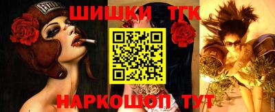 индика Моздок
