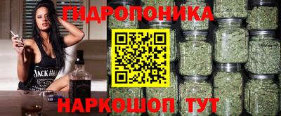 эйфоретик Можга