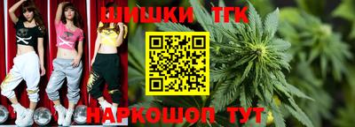 индика Моздок