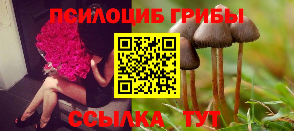 Галлюциногенные грибы Cubensis  Вход с VPN  Ульяновск 